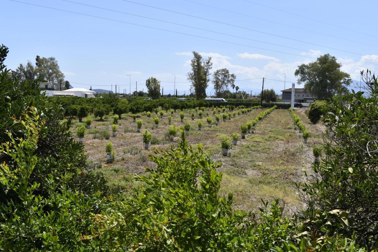 To Spitaki Dalamanara 外观 照片
